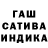 Каннабис гибрид Bayron Salas