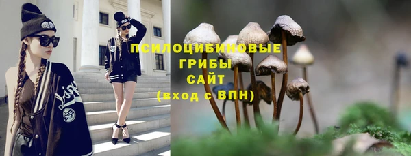 первитин Пересвет