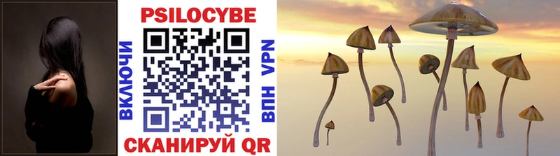 сайты даркнета формула  Мосальск  Псилоцибиновые грибы Psilocybine cubensis  купить наркотики цена 